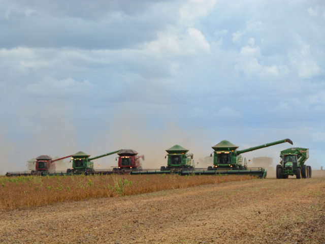 Between 1900 and 2000, world population quadrupled but global grain production rose by five times and global industrial output by 40 times. This line of combines, harvesting a crop in Mato Grosso in Brazil, is an example of how much ag technology has changed. (DTN file photo by Chris Clayton)